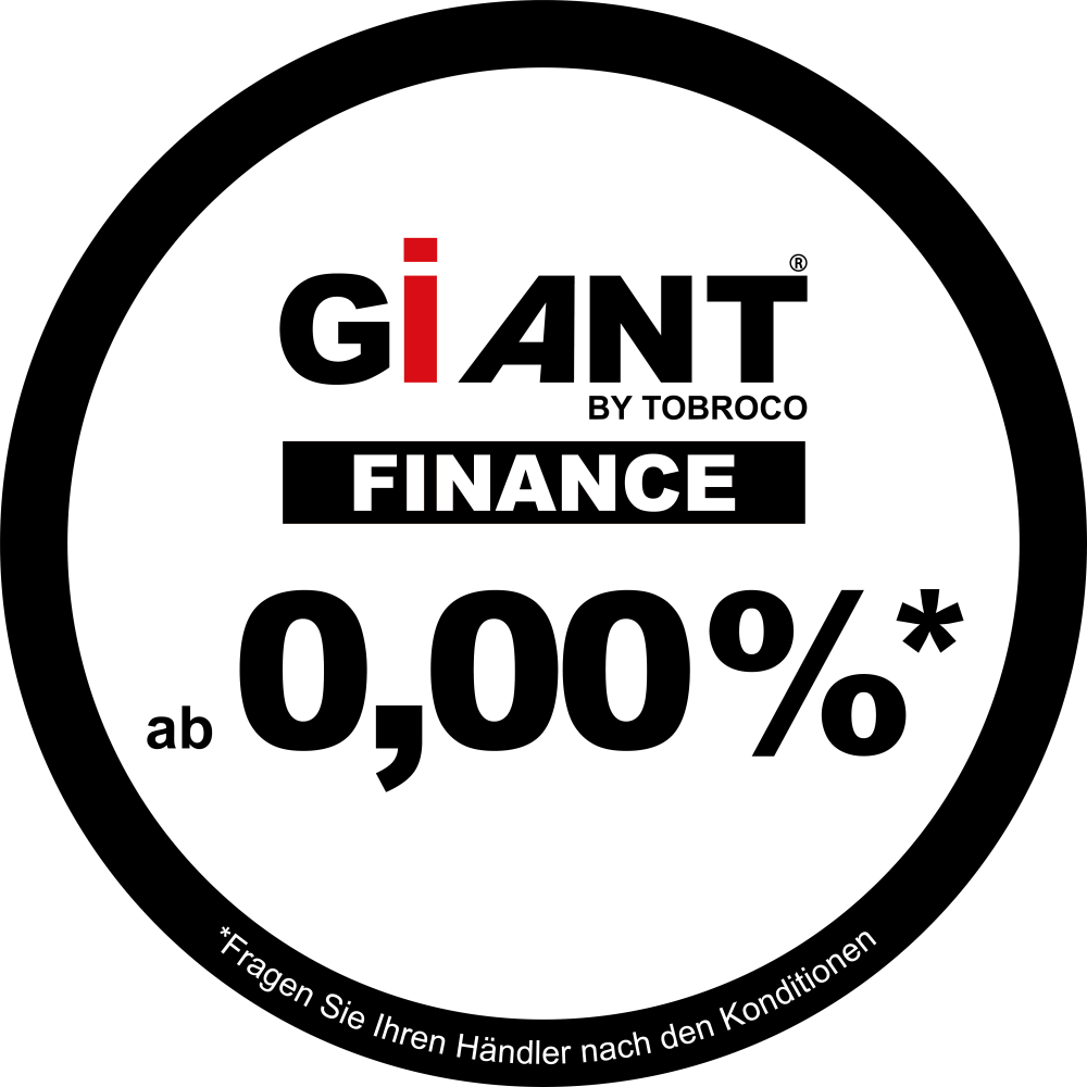 giant finance  