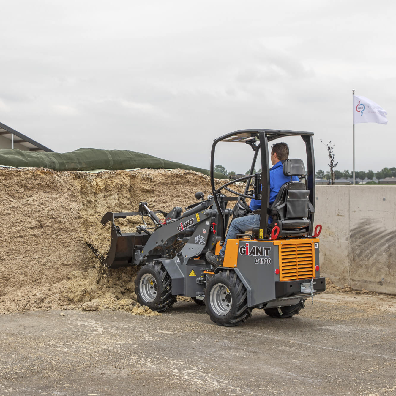 original g1100pelikaanbakgesnedentanden